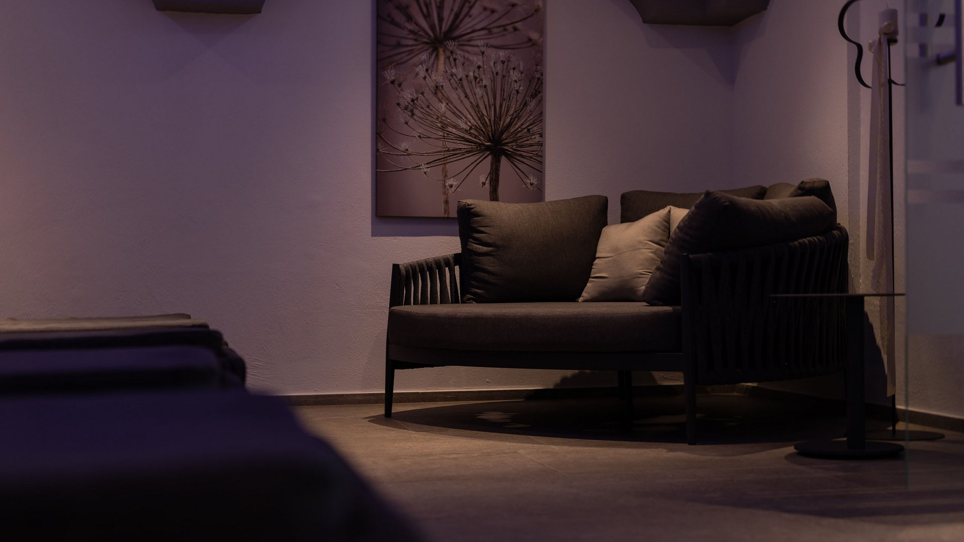 Mein Hotel in Fulpmes im Stubaital Gemütliche dunkle Couch mit Kissen und Pflanzendruck an weißer Wand